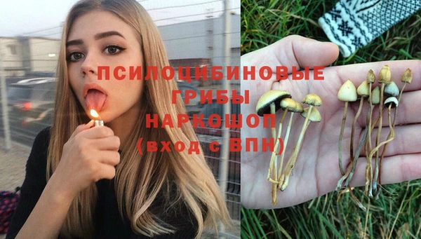 мет Алексеевка