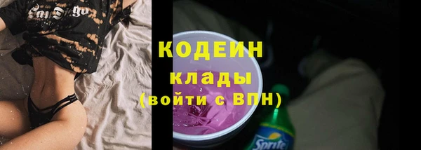 гашик Алзамай