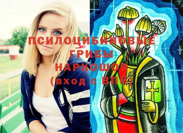 гашик Алзамай