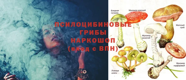 гашик Алзамай