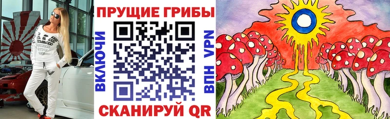 KRAKEN зеркало  Павловская  Галлюциногенные грибы Cubensis 